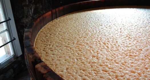 Yeast & Fermentation: Where Whisky Flavor is Actually Born (2026)