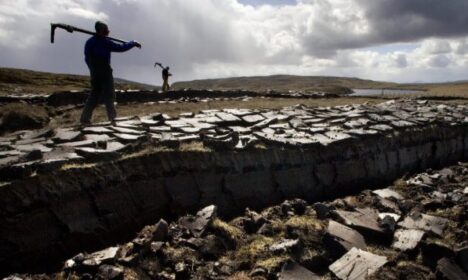 The Islay Peat History: 10,000 Years of Flavor (2026 Guide)