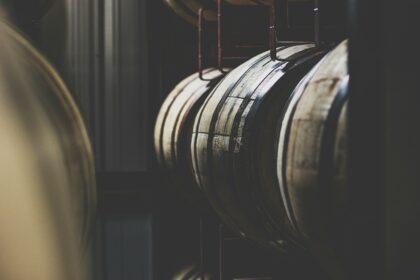 Whisky Tannins: Why Old Whisky Tastes ‘Dry’ (2026 Guide)