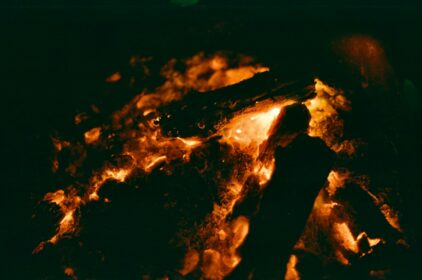Peated vs Unpeated Whisky: The Ultimate Guide to Smoke (2026)