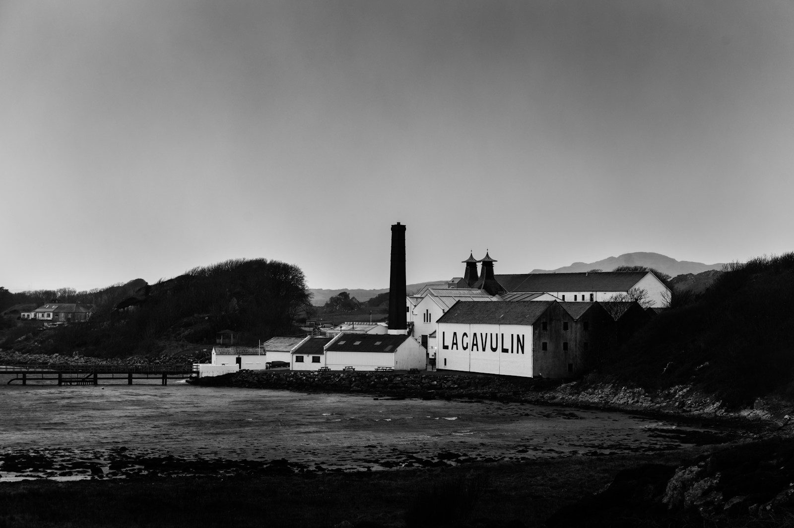 Premium whisky bottles under $100 displayed on a shelf