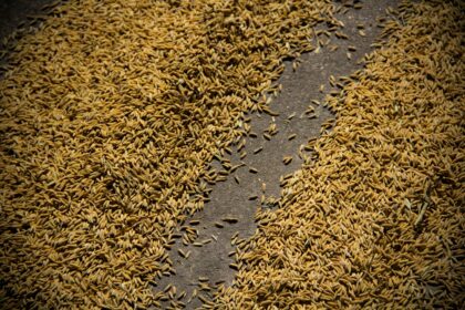 Whiskey Recipe Concerto Barley and Wheat